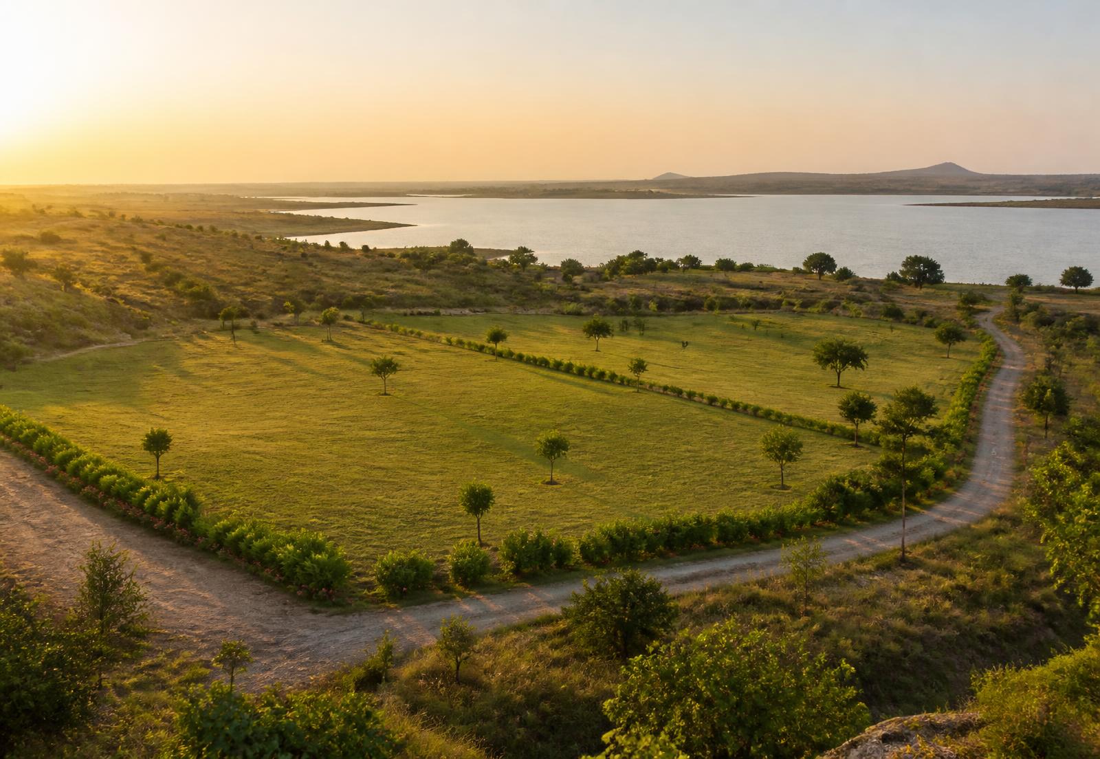 Open green land parcel with boundary planting and a curving access road beside a lake at golden hour